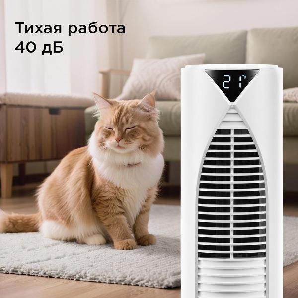 https://img.mvideo.ru/Pdb/400721816b4.jpg