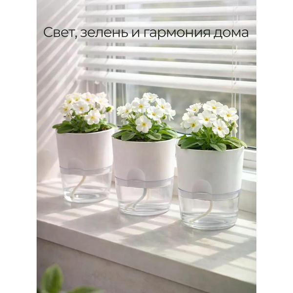 https://img.mvideo.ru/Pdb/400727519b10.jpg