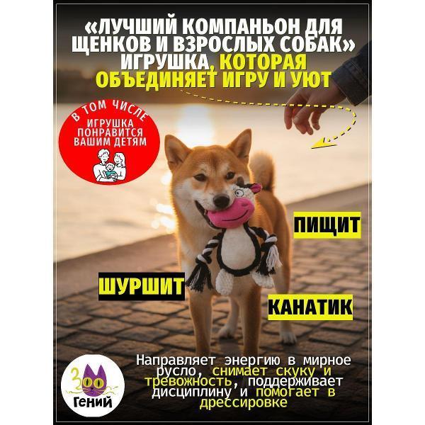 https://img.mvideo.ru/Pdb/400741661b.jpg