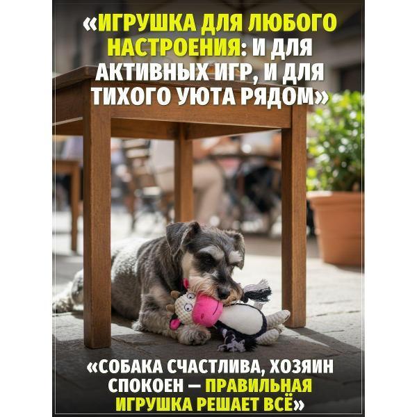 https://img.mvideo.ru/Pdb/400741661b1.jpg