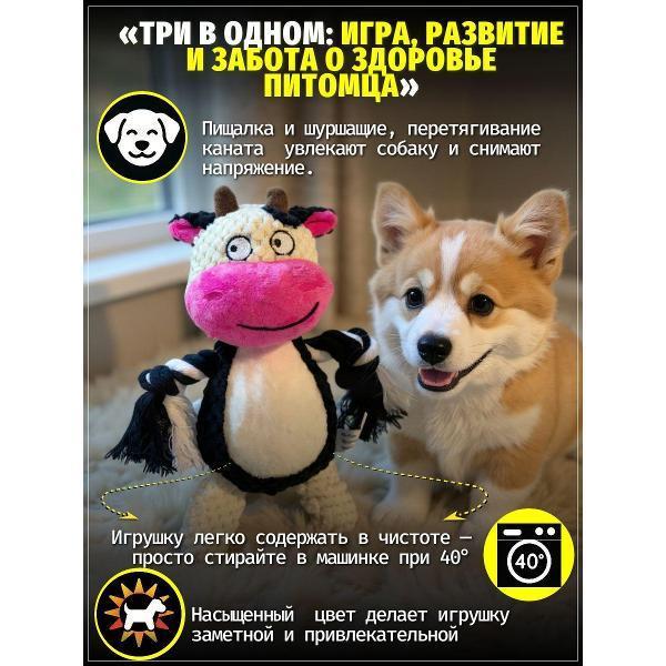 https://img.mvideo.ru/Pdb/400741661b4.jpg