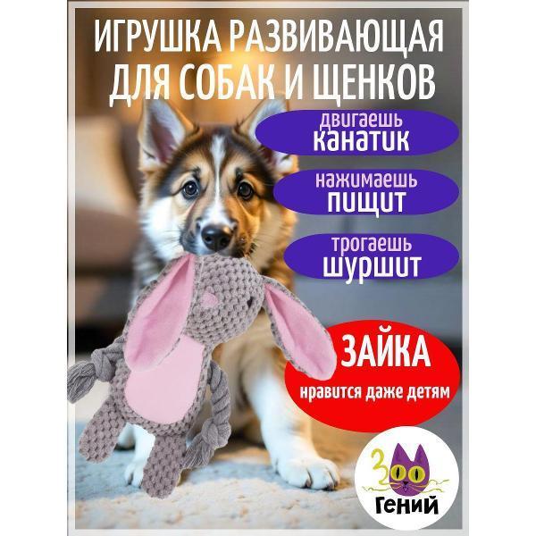 https://img.mvideo.ru/Pdb/400741663b.jpg