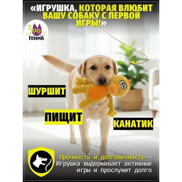 https://img.mvideo.ru/Pdb/400741673b.jpg