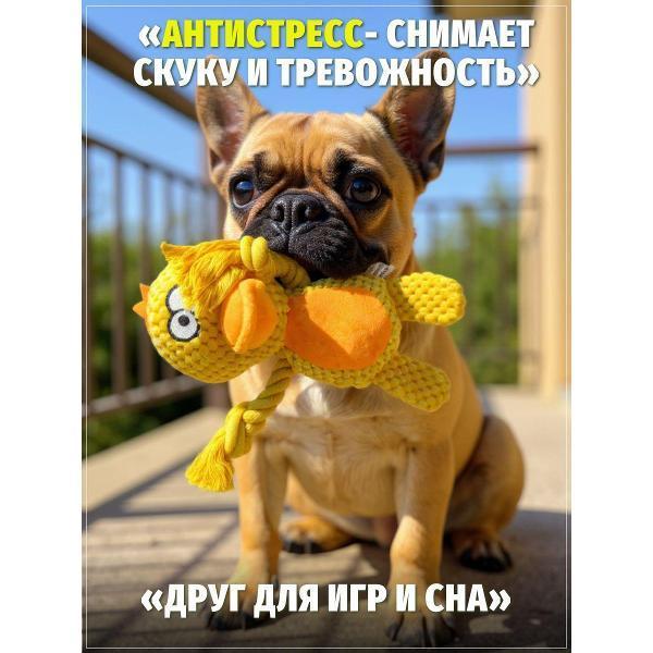 https://img.mvideo.ru/Pdb/400741673b1.jpg