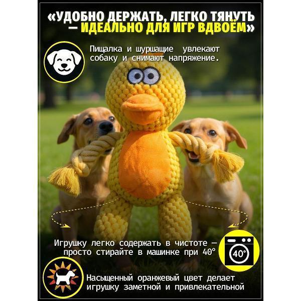 https://img.mvideo.ru/Pdb/400741673b4.jpg