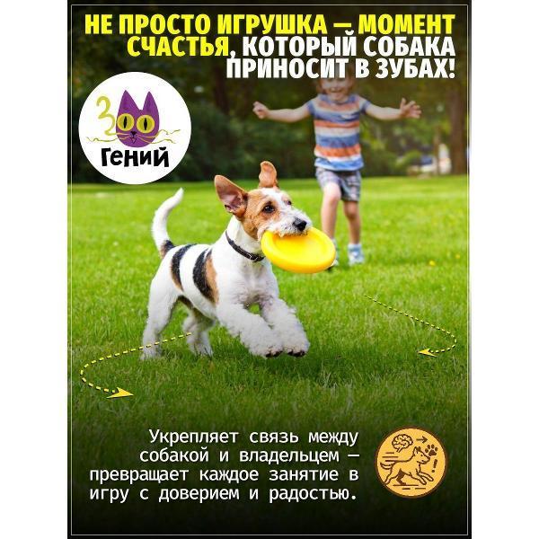 ЗООГЕНИЙ | Игрушка для животных ЗООГЕНИЙ ZI2078637