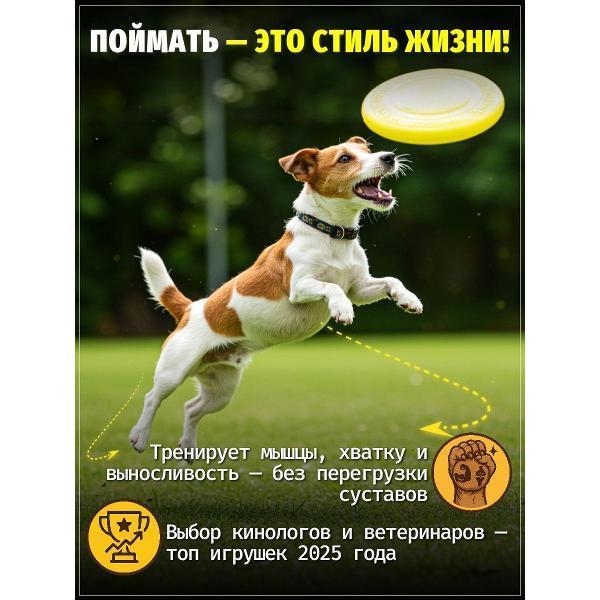 https://img.mvideo.ru/Pdb/400741674b3.jpg
