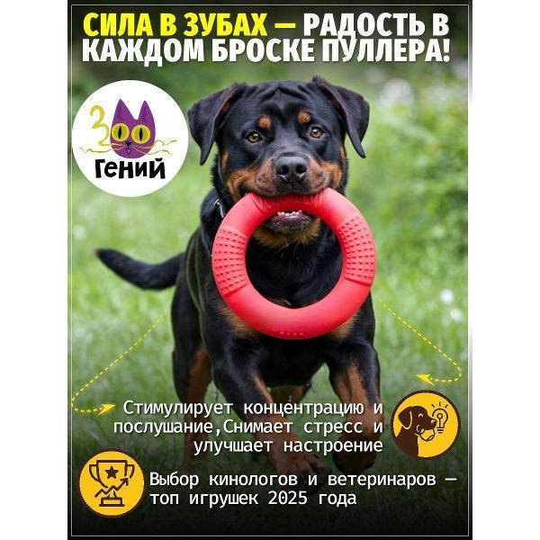 ЗООГЕНИЙ | Игрушка для животных ЗООГЕНИЙ ZI7398252
