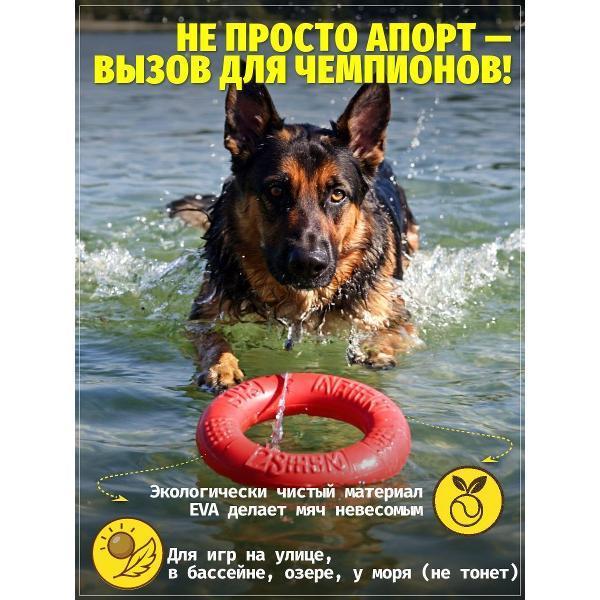 https://img.mvideo.ru/Pdb/400741677b2.jpg