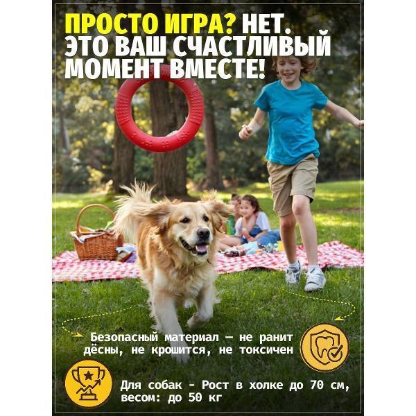 https://img.mvideo.ru/Pdb/400741677b3.jpg