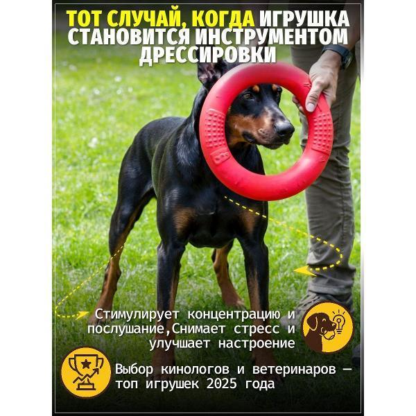 https://img.mvideo.ru/Pdb/400741677b5.jpg