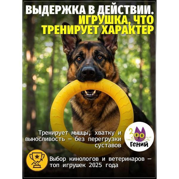 ЗООГЕНИЙ | Игрушка для животных ЗООГЕНИЙ ZI6824400