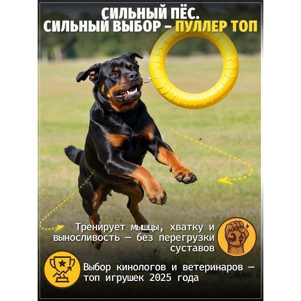 https://img.mvideo.ru/Pdb/400741678b5.jpg