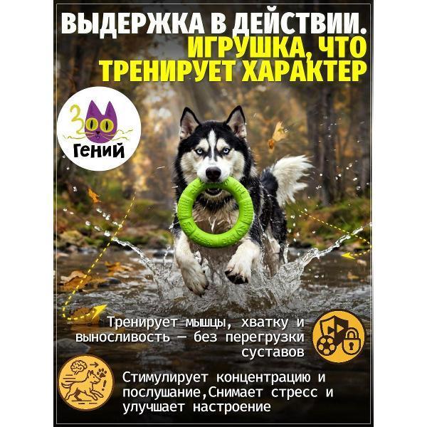 ЗООГЕНИЙ | Игрушка для животных ЗООГЕНИЙ ZI2187629