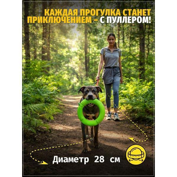 https://img.mvideo.ru/Pdb/400741679b2.jpg