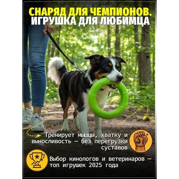 https://img.mvideo.ru/Pdb/400741679b4.jpg