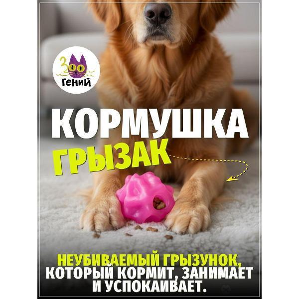 ЗООГЕНИЙ | Игрушка для животных ЗООГЕНИЙ ZI4134891
