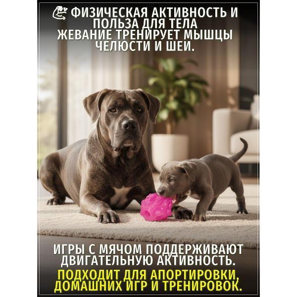 https://img.mvideo.ru/Pdb/400741681b3.jpg