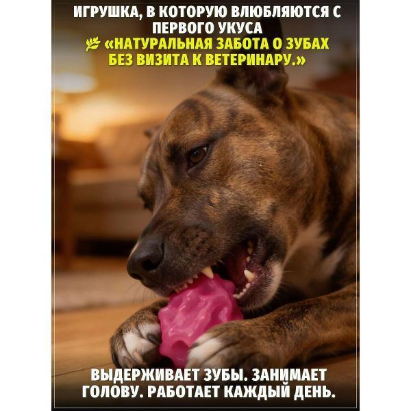 https://img.mvideo.ru/Pdb/400741681b4.jpg