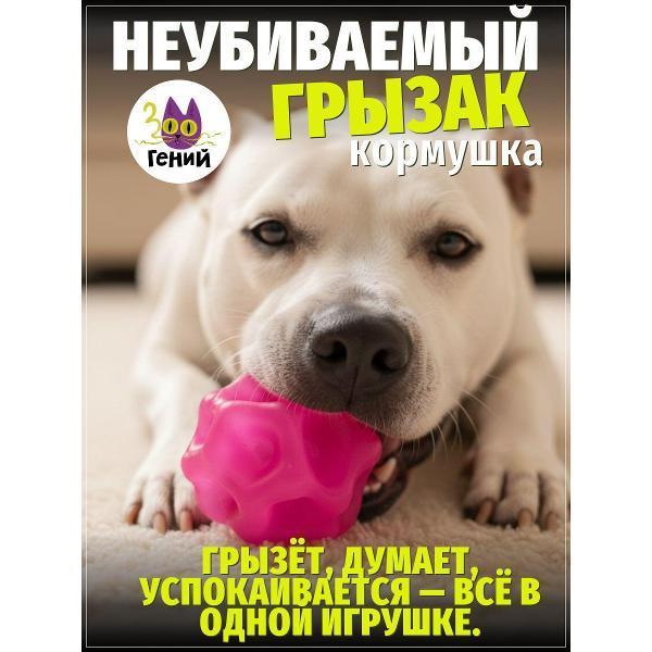 ЗООГЕНИЙ | Игрушка для животных ЗООГЕНИЙ ZI4107284