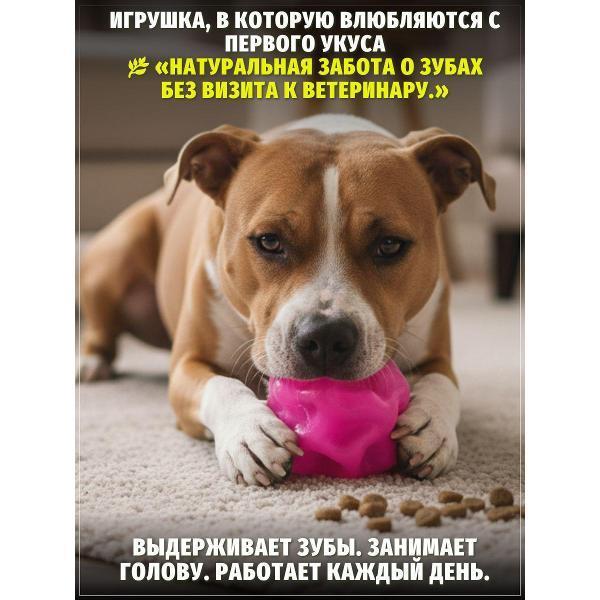 https://img.mvideo.ru/Pdb/400741683b3.jpg
