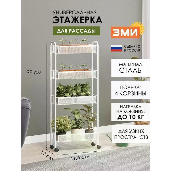 https://img.mvideo.ru/Pdb/400753653b.jpg