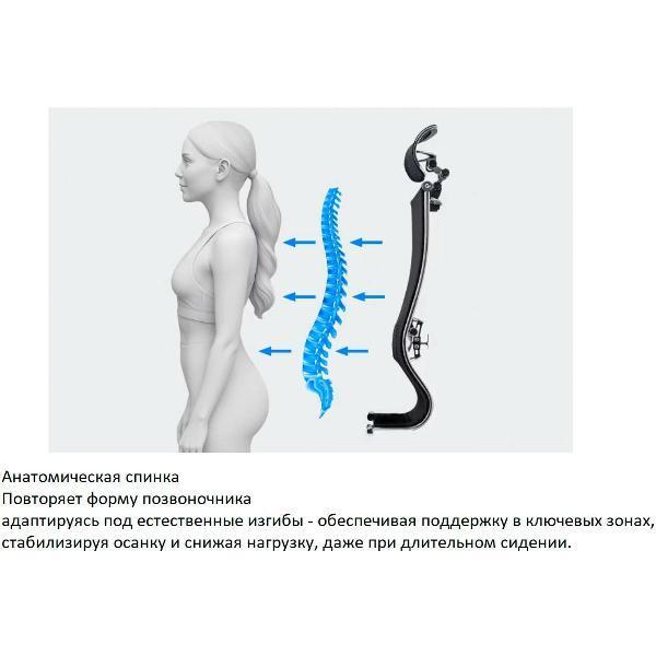 https://img.mvideo.ru/Pdb/400806585b12.jpg