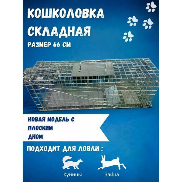 https://img.mvideo.ru/Pdb/400808147b1.jpg
