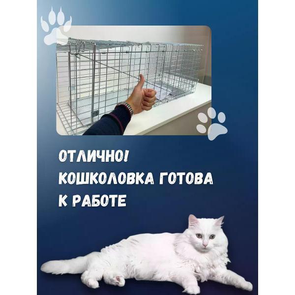https://img.mvideo.ru/Pdb/400808147b10.jpg