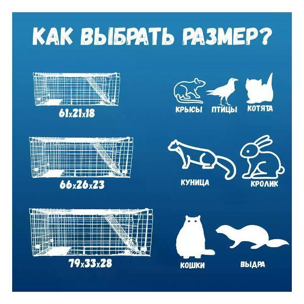 https://img.mvideo.ru/Pdb/400808147b2.jpg