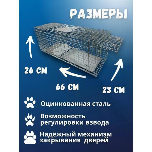https://img.mvideo.ru/Pdb/400808147b3.jpg