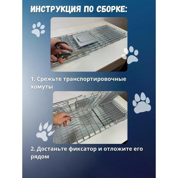 https://img.mvideo.ru/Pdb/400808147b5.jpg