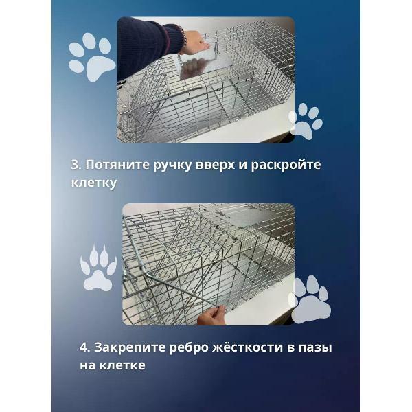 https://img.mvideo.ru/Pdb/400808147b6.jpg