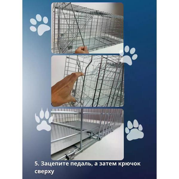 https://img.mvideo.ru/Pdb/400808147b7.jpg