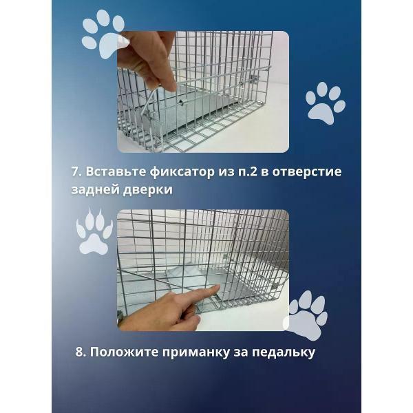 https://img.mvideo.ru/Pdb/400808147b9.jpg