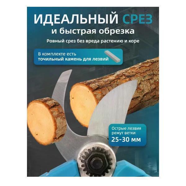 https://img.mvideo.ru/Pdb/400824116b4.jpg