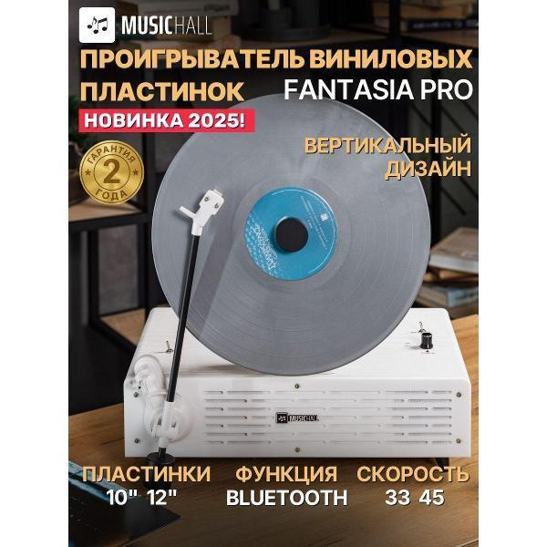 https://img.mvideo.ru/Pdb/400874834b.jpg