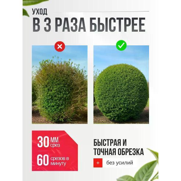 https://img.mvideo.ru/Pdb/400975856b7.jpg