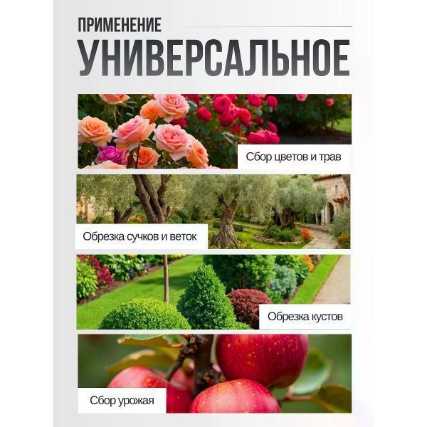https://img.mvideo.ru/Pdb/400975856b8.jpg
