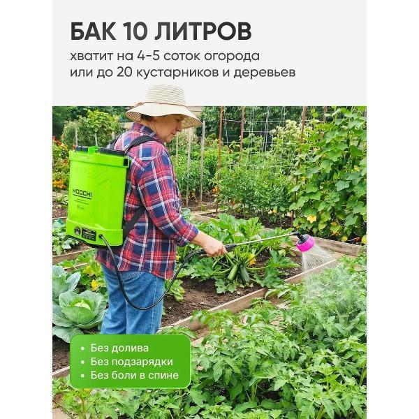 https://img.mvideo.ru/Pdb/401018378b14.jpg