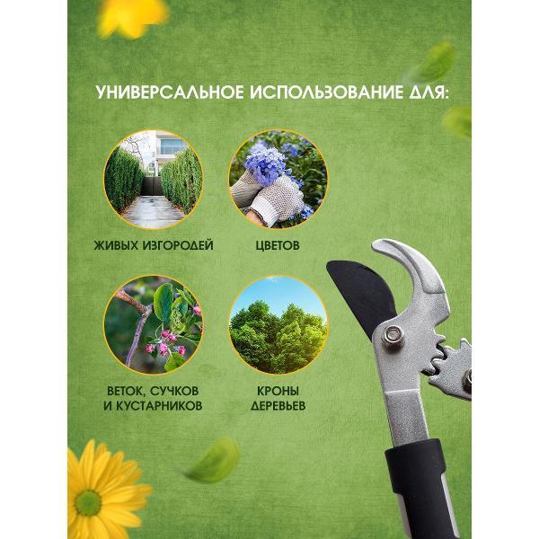 https://img.mvideo.ru/Pdb/401061100b2.jpg