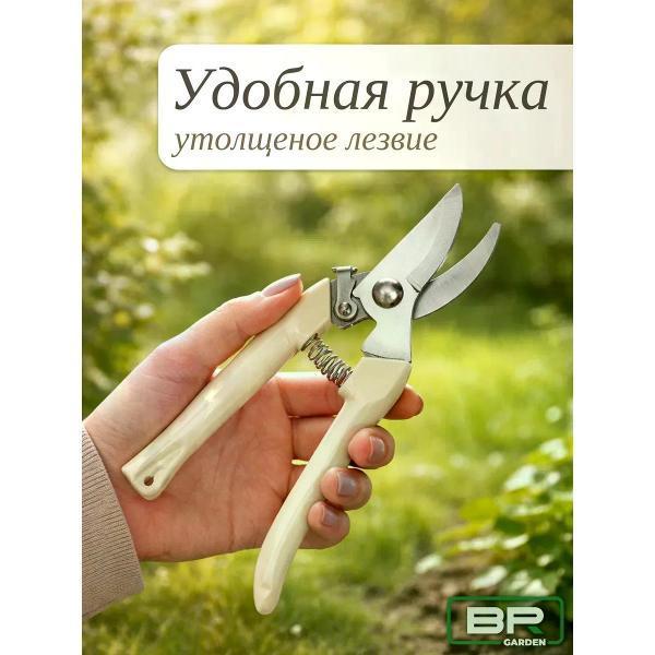 https://img.mvideo.ru/Pdb/afdb42c1-81a7-4a31-bd98-0f82f120636a.jpg