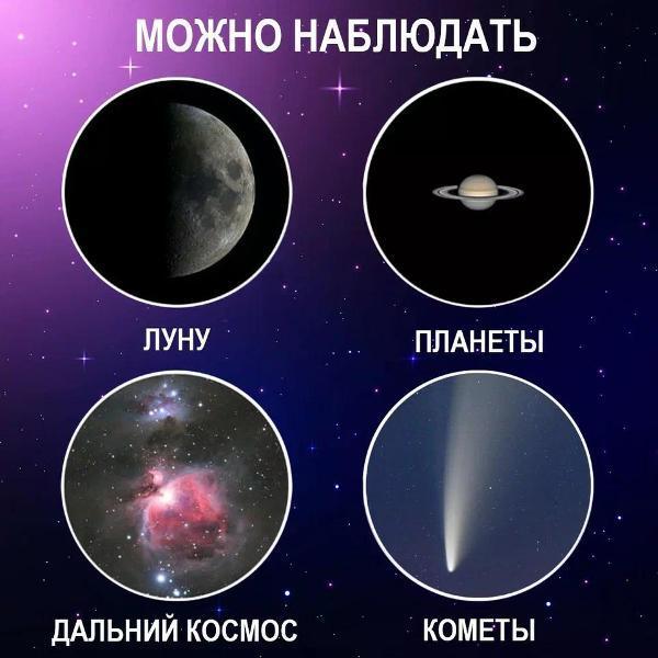 https://img.mvideo.ru/Pdb/ee40d902-78f1-4a81-b697-37e500075638.jpg