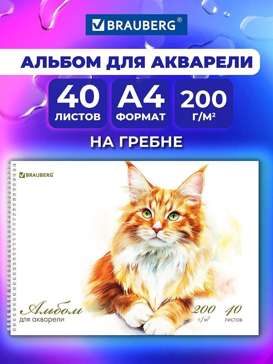 https://img.mvideo.ru/product-medias/photos/400517574/ae0ee4b9-5b22-45a9-a3d8-cd36775a629b.jpg