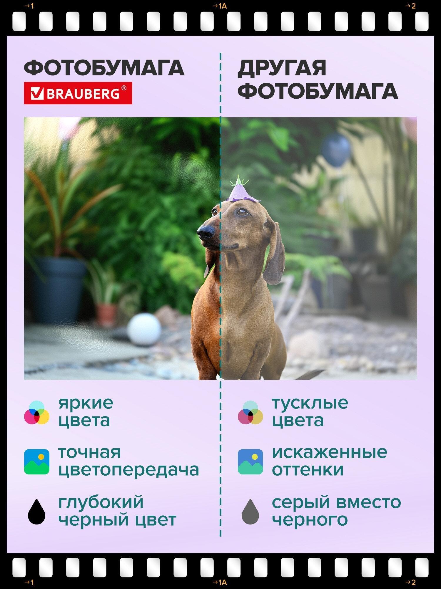 https://img.mvideo.ru/product-medias/photos/400517681/961a50c4-d85c-4553-bfe2-de6f1b8282d6.jpg