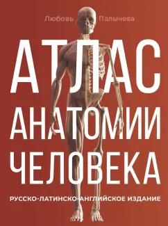 Любовь Палычева: Атлас анатомии человека. Русско-латинско-английское издание