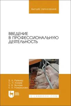 Реймер, Князев, Жучаев: Введение в профессиональную деятельность. Учебник для вузов