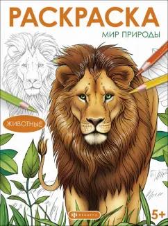 Книжка-раскраска Мир природы. Животные