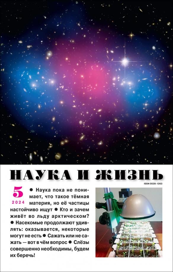 Журнал Наука и жизнь № 5 2024