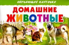 Карточки. Домашние животные